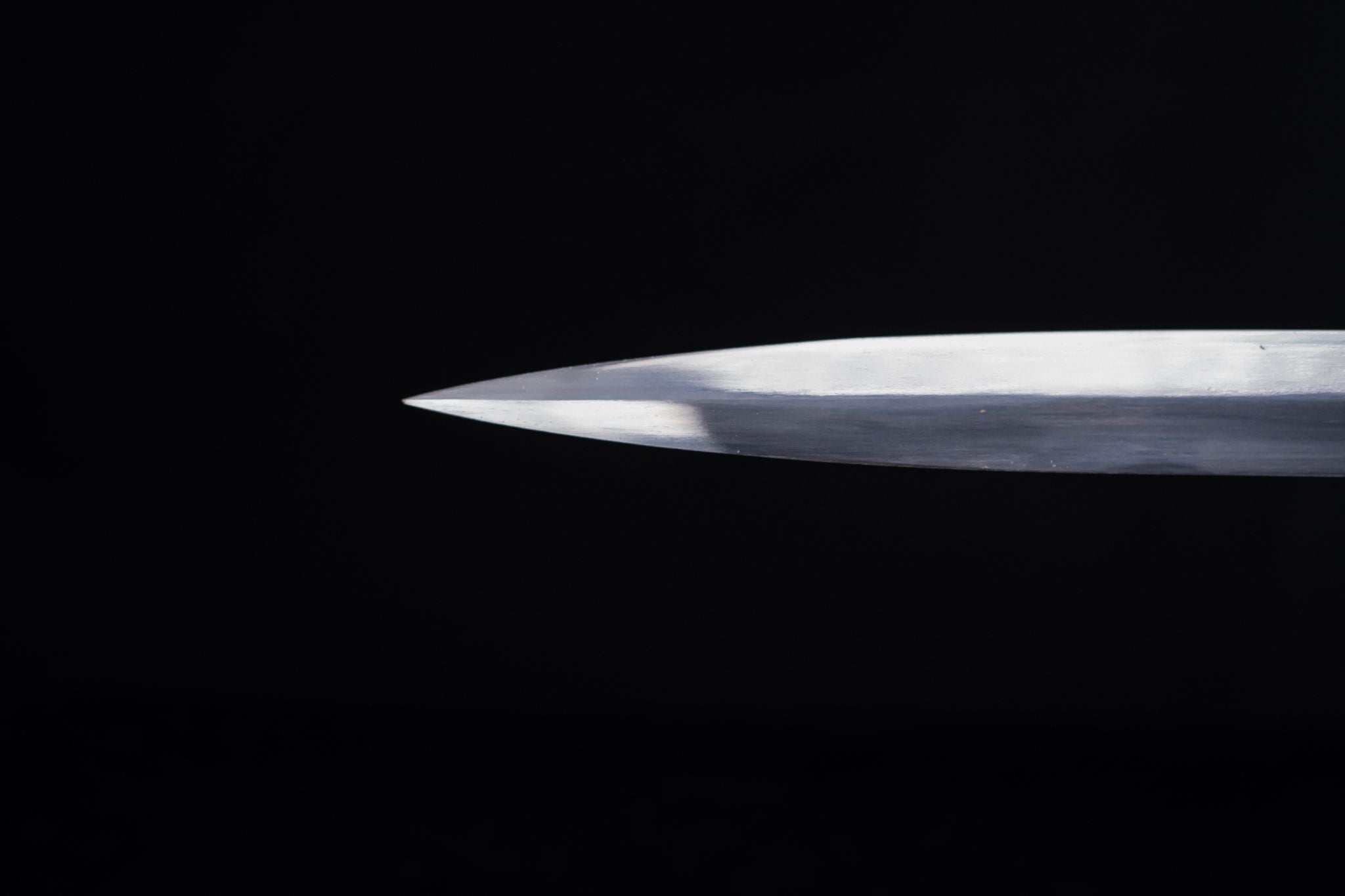 Azure Lion Longsword – Spring Steel – 37.8 in – detail 6